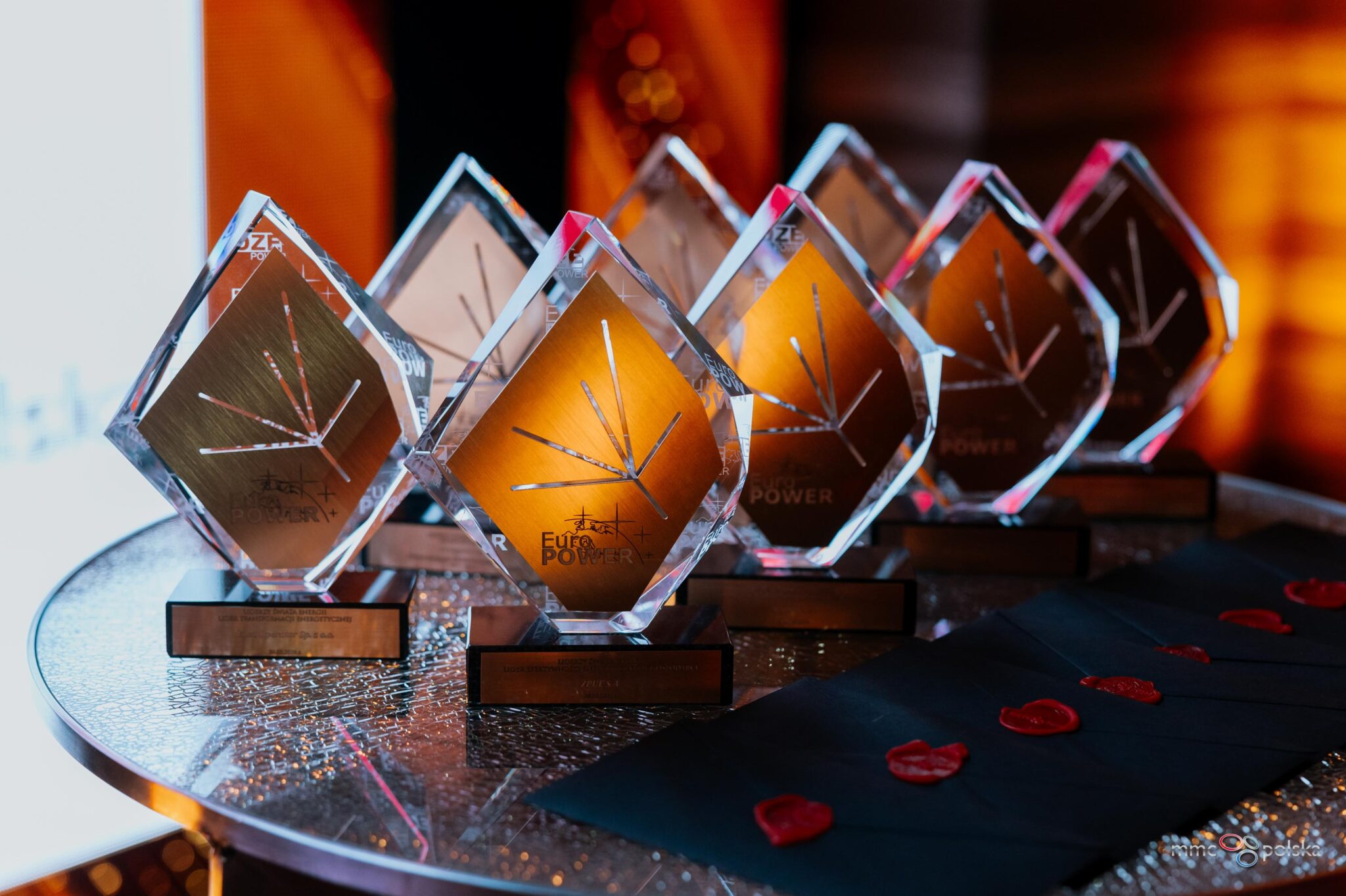Zdjęcie z Gali Liderzy Świata Energii 3